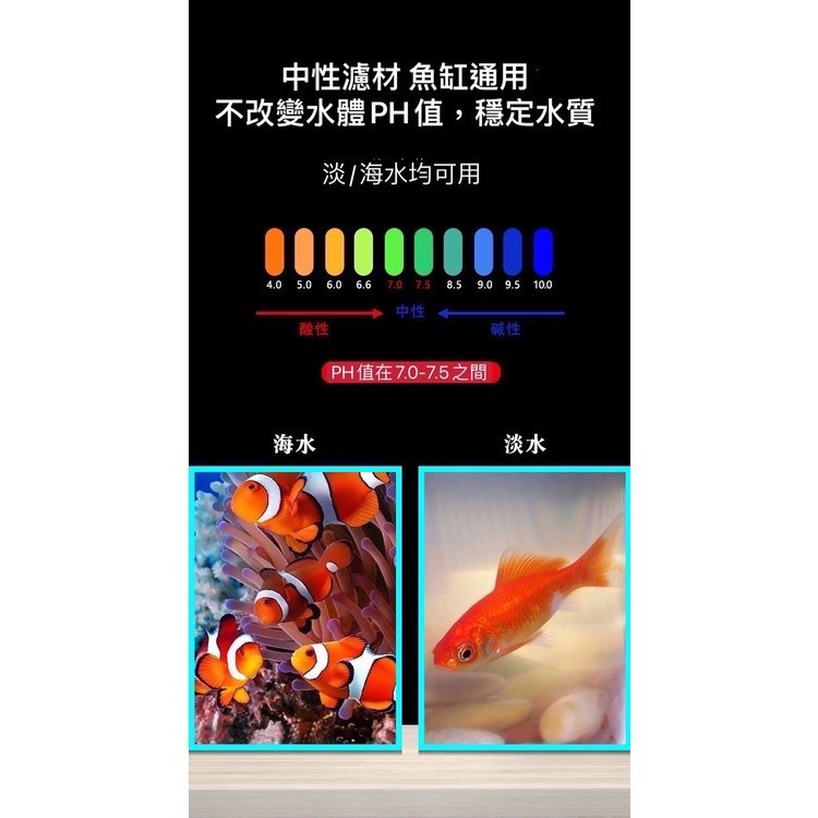 5D奈米培菌球 單顆