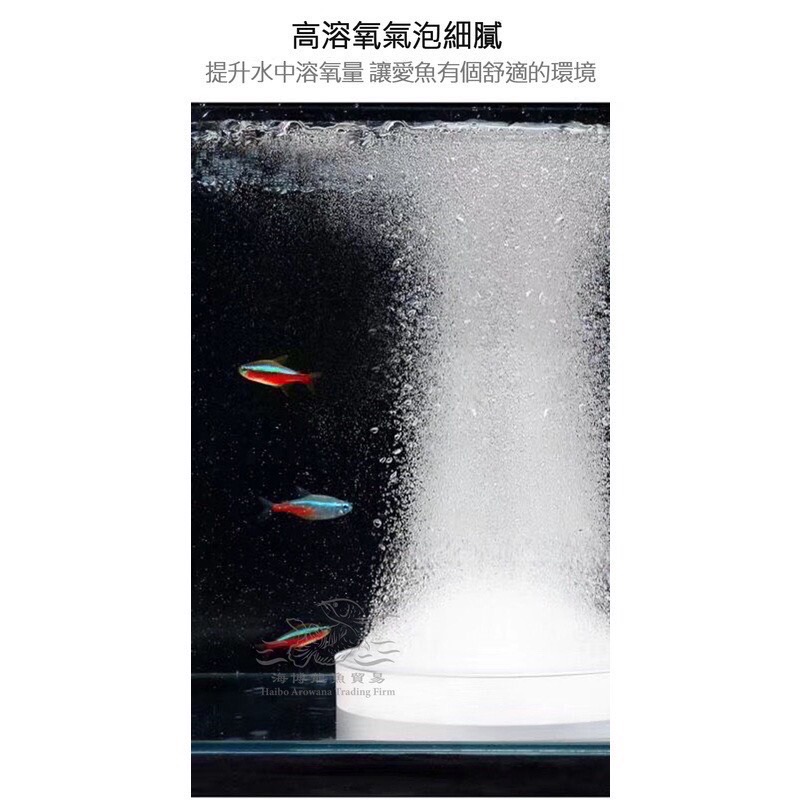 博特 BOX&WATER 低壓奈米氣盤15公分