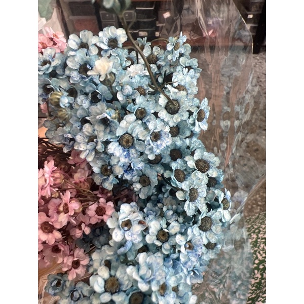 65-70個花頭-乾燥花-法國白梅 永生花 手作 盆花