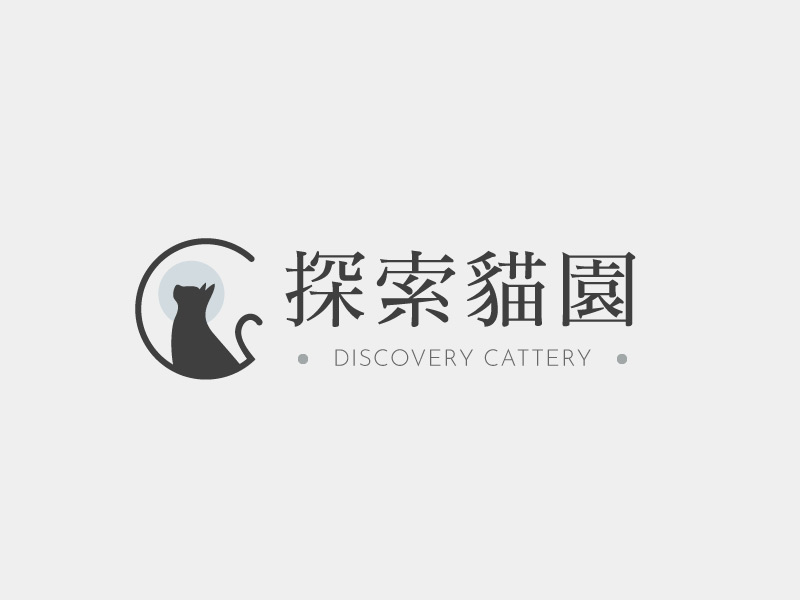 英國短毛貓金漸層/幼貓買賣