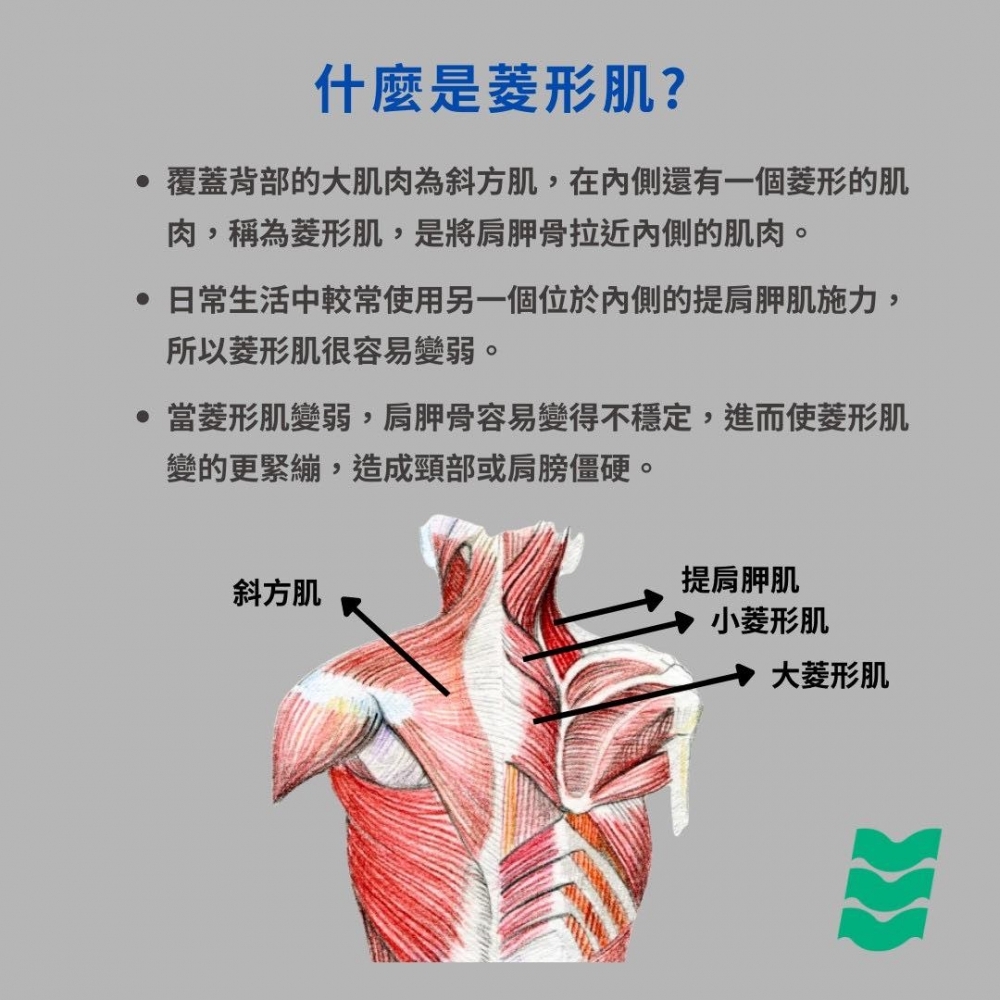 菱形肌筋膜炎的症狀及改善方式