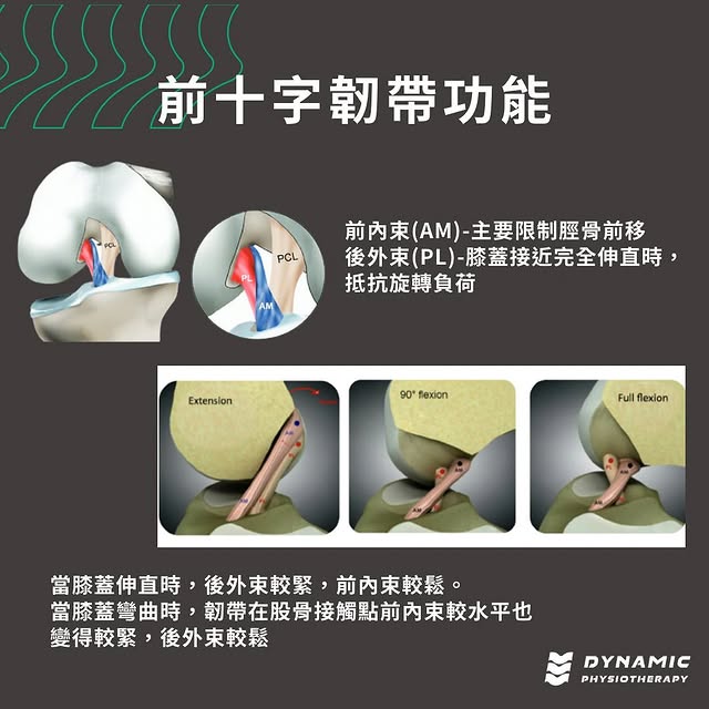 前十字韌帶損傷-運動員的噩夢