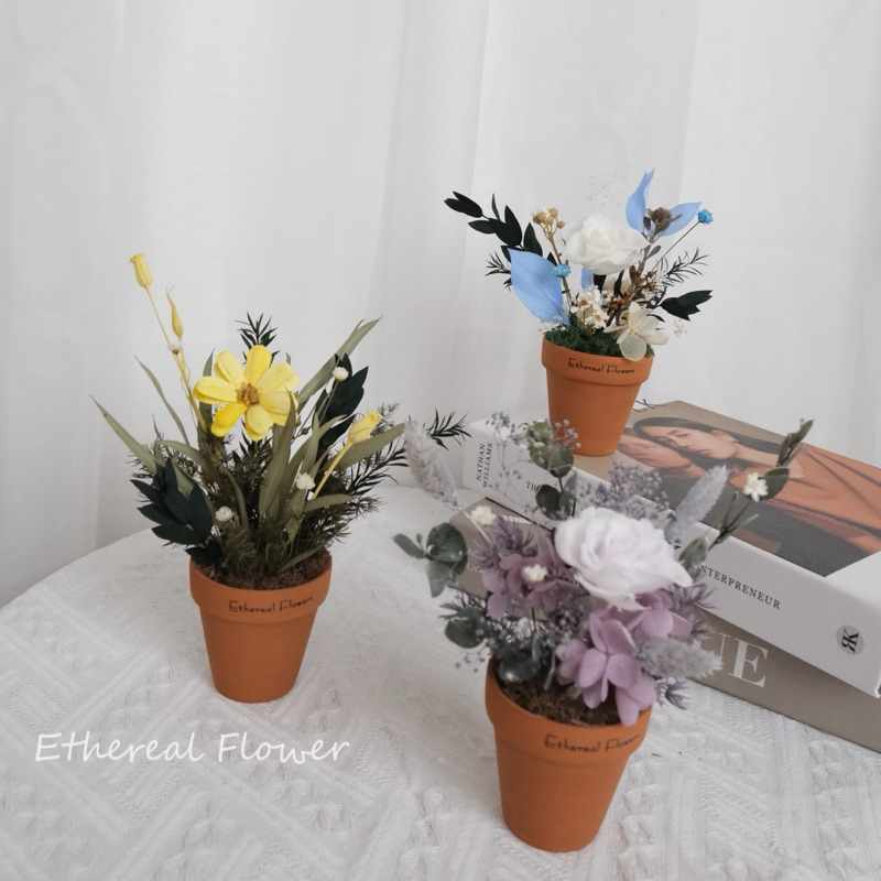 Ethereal flower迷你盆栽