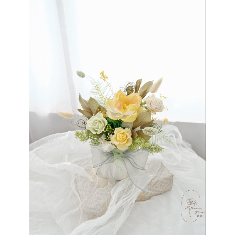 榮耀綻放 | 祝賀盆花