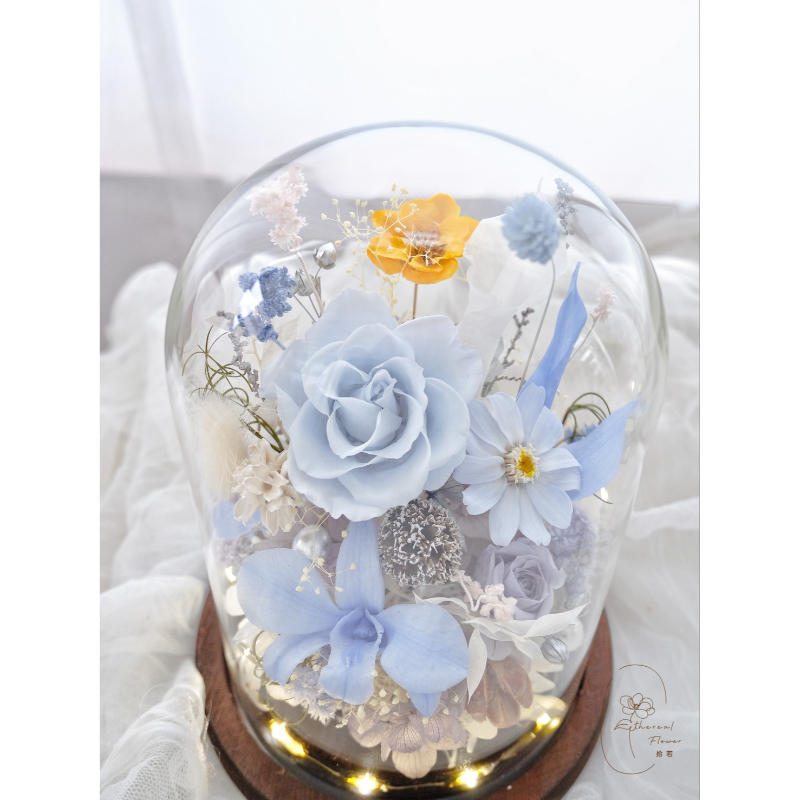 光影花園 | Garden of Light