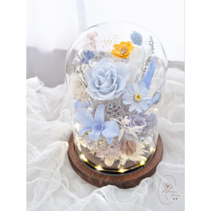 光影花園 | Garden of Light