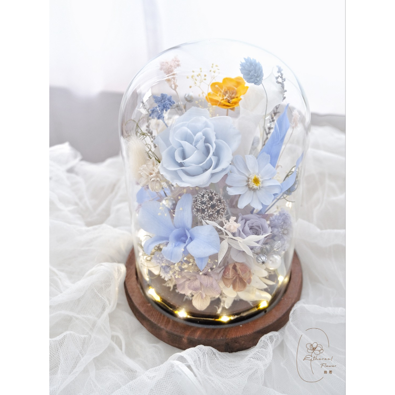 光影花園 | Garden of Light