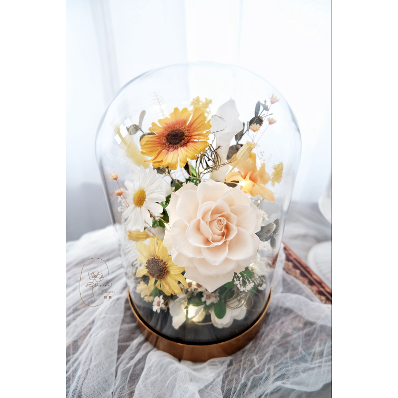 暖陽花語 | Sunshine Bloom