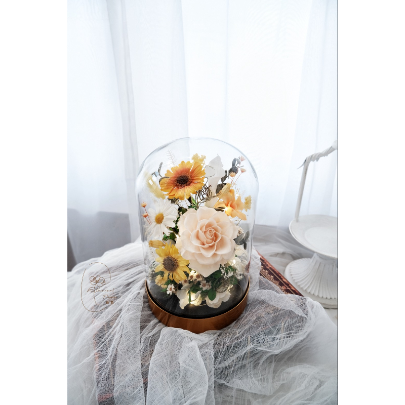 暖陽花語 | Sunshine Bloom