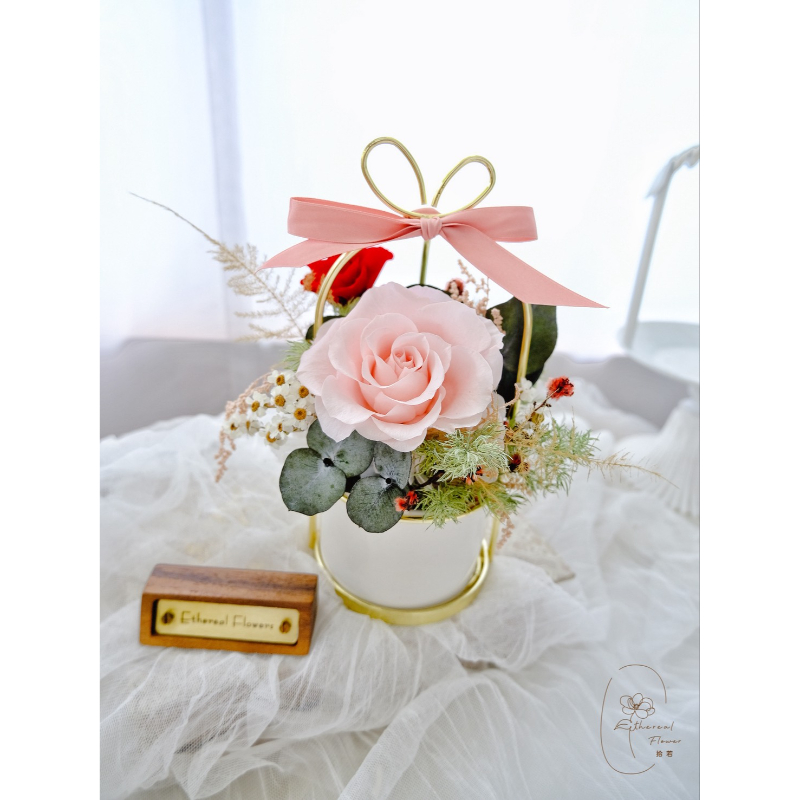 柔情花語 | Tender Bloom|祝福永生盆花設計
