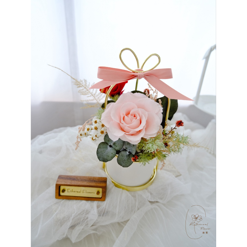 柔情花語 | Tender Bloom|祝福永生盆花設計
