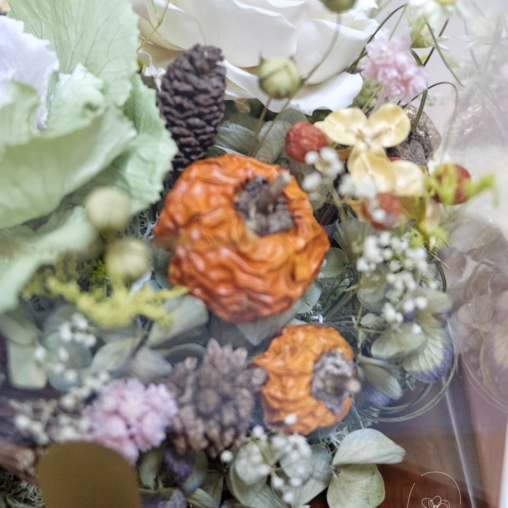 小小菜園 Little Garden