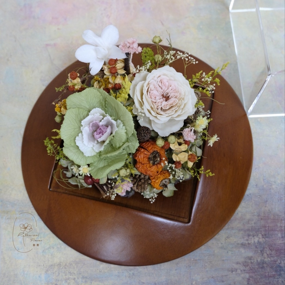 小小菜園 Little Garden