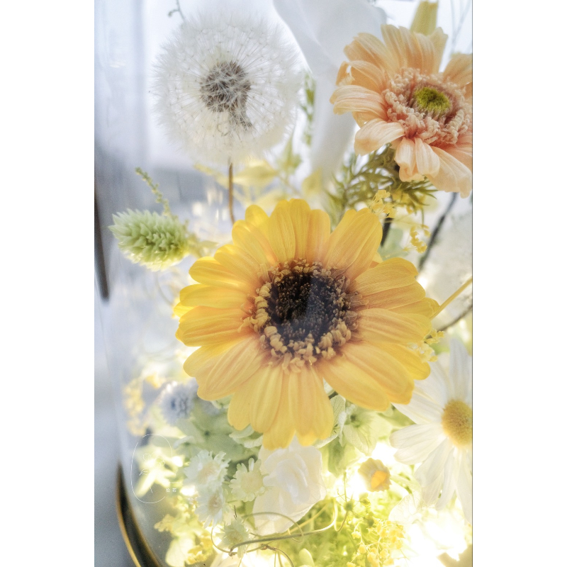 晴日野花｜永生花燈光玻璃花盅