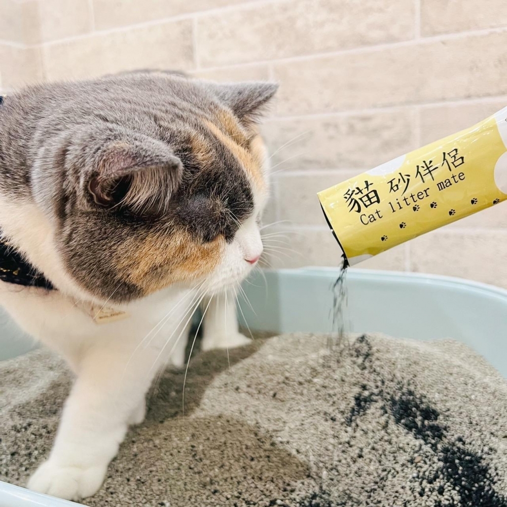 貓砂伴侶(20入)