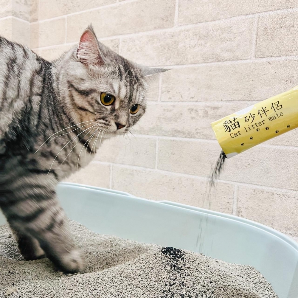 貓砂伴侶(20入)