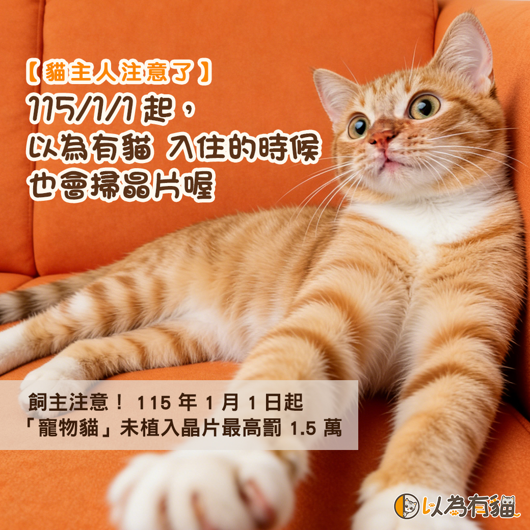 114/1/1起, 以為有貓 入住的時候 也會掃晶片喔