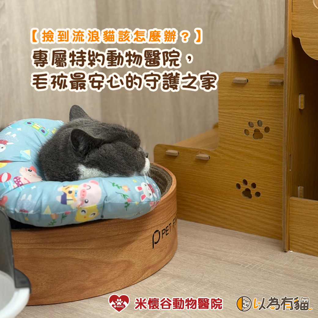 專屬特約動物醫院，毛孩最安心的守護之家