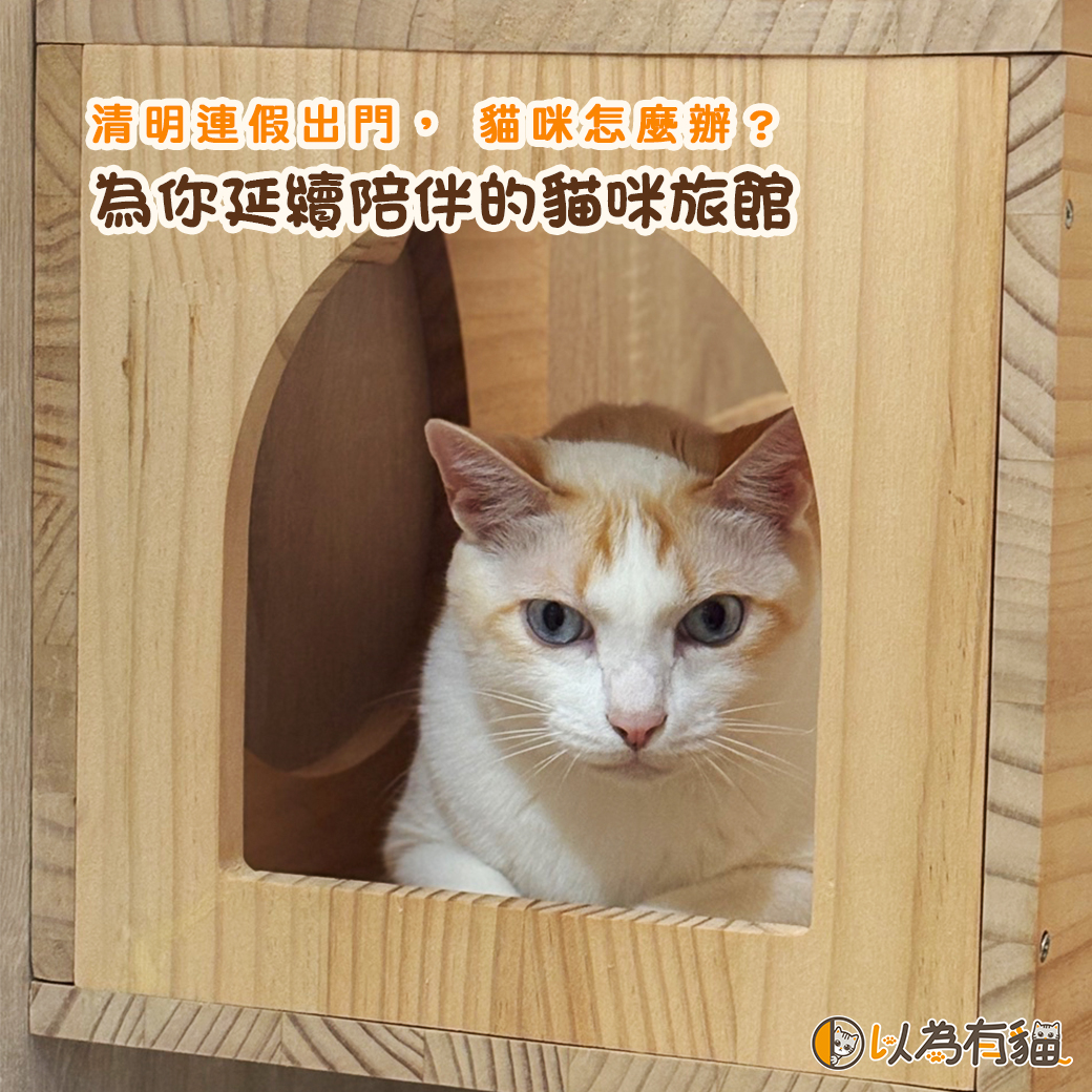 https://www.doing-housework.com/store_image/ewaycats/file/D1776327755331.jpg