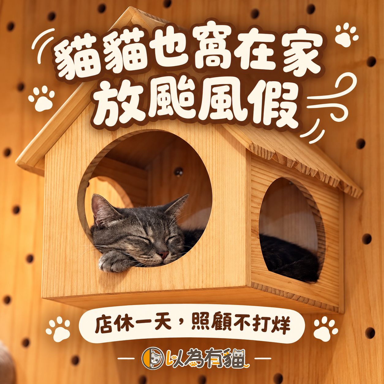 薔琵颱風店休公告｜照顧貓貓不放假