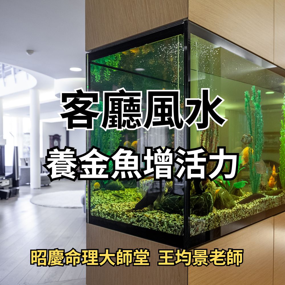 客廳風水:水族箱養金魚增活力聚財