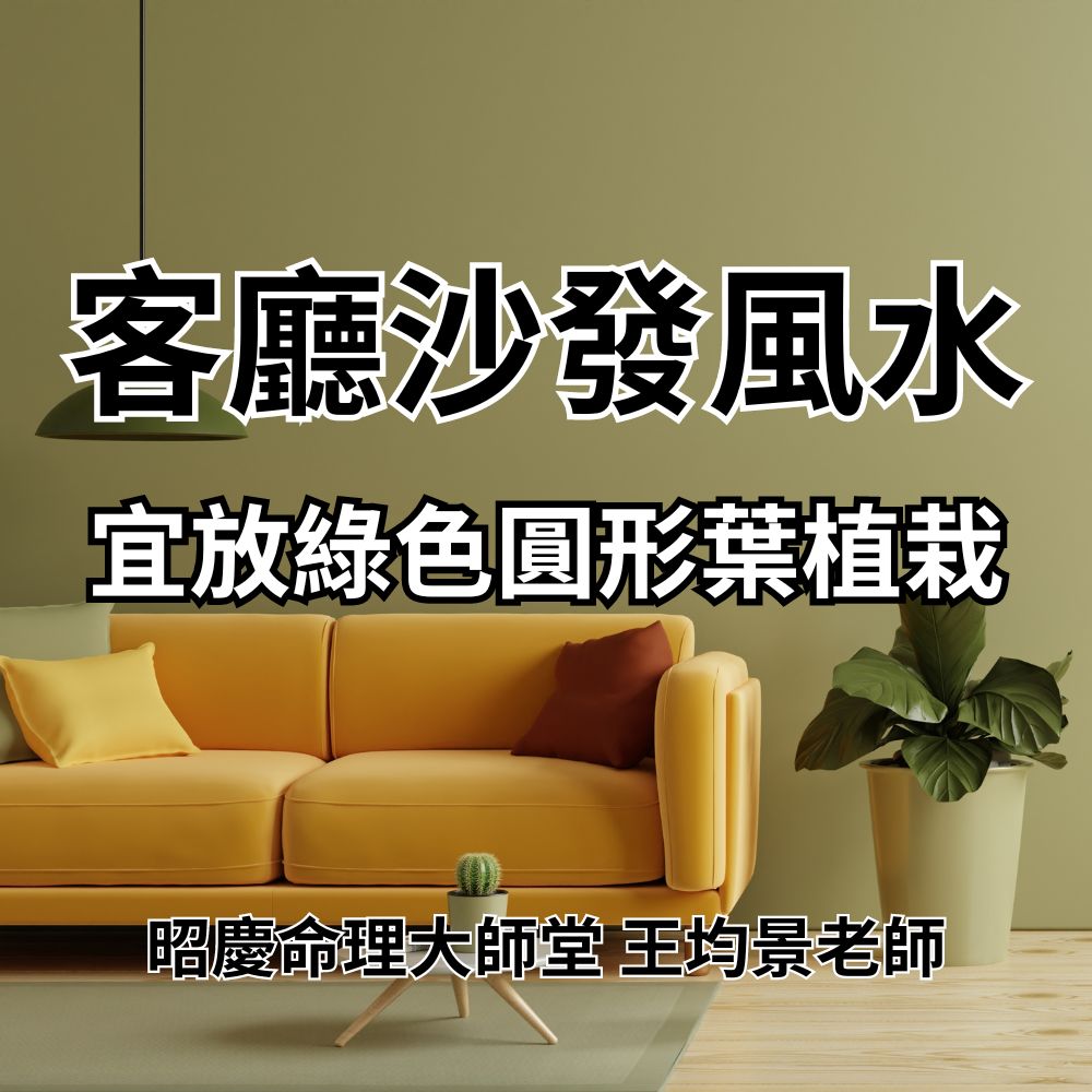 客廳沙發風水布局:宜擺放綠色植栽