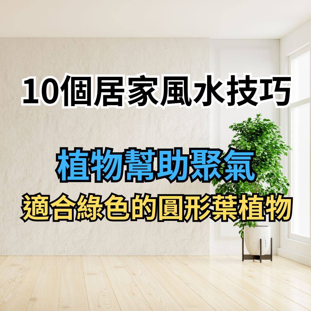 10個居家風水技巧植物幫助聚氣