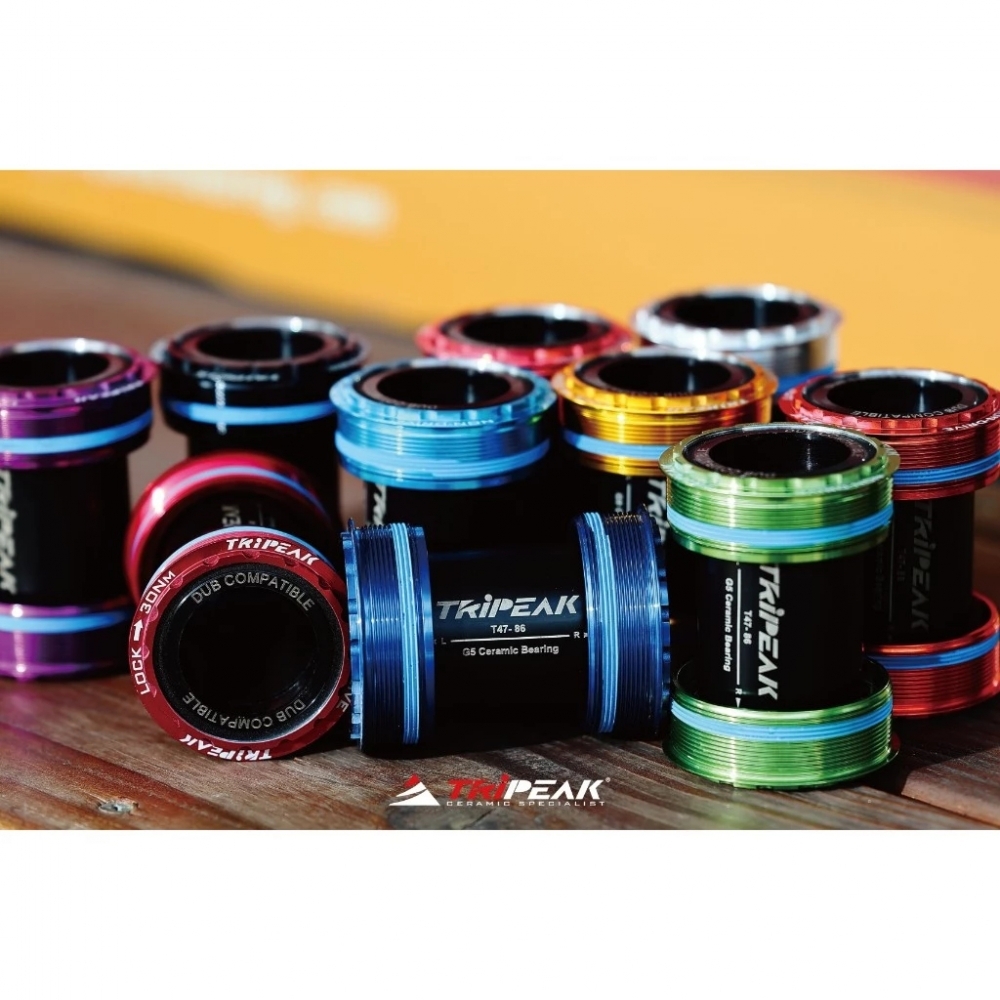 (BSA)【風逸單車