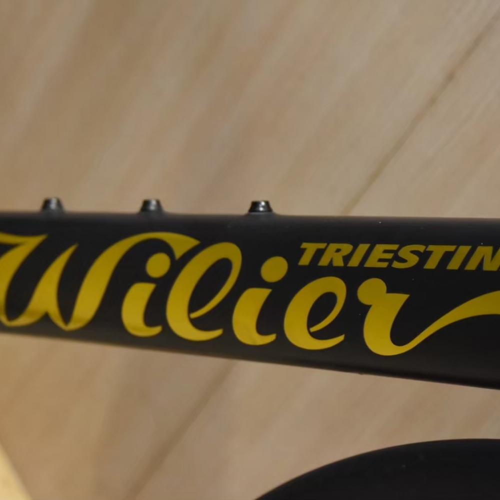 【風逸單車】盤爺限量版Wilier filante SLR碳纖維碟煞電變公路車
