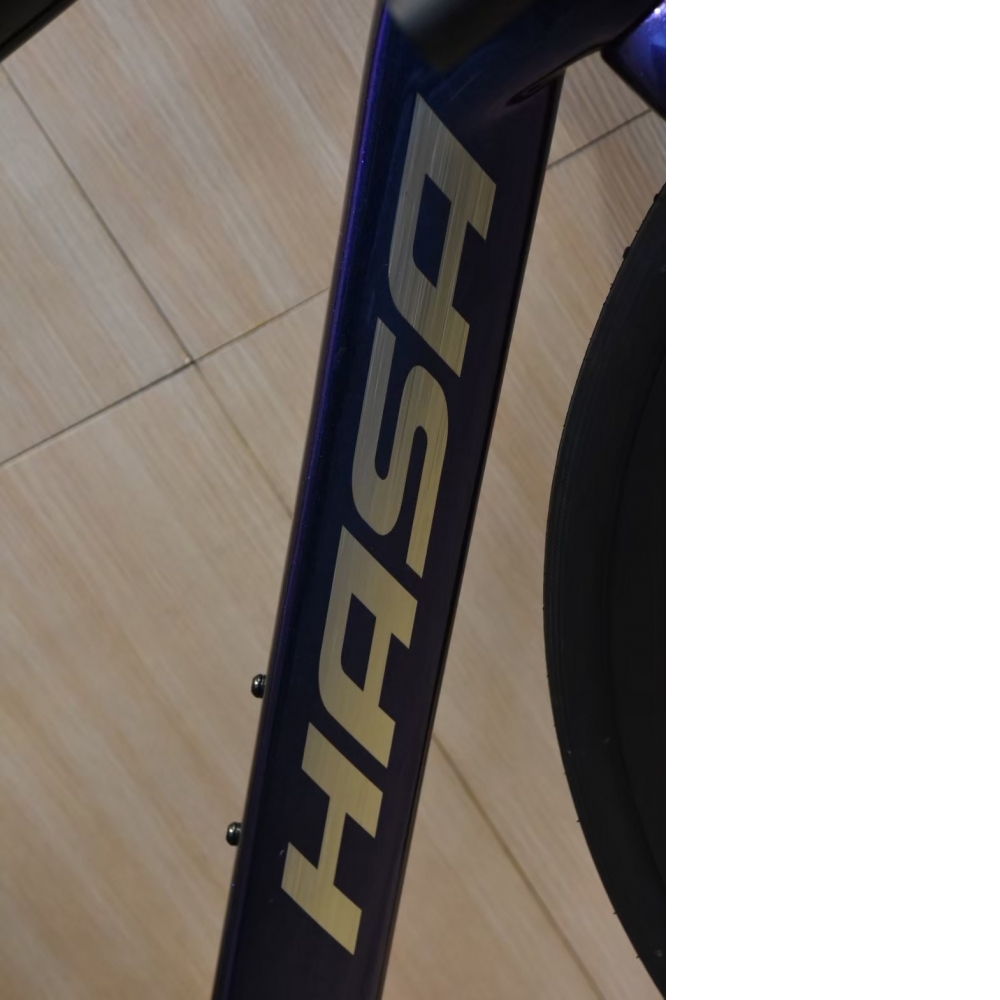 【風逸單車】 HASA RSX 頂級碳纖維碟煞電變公路車