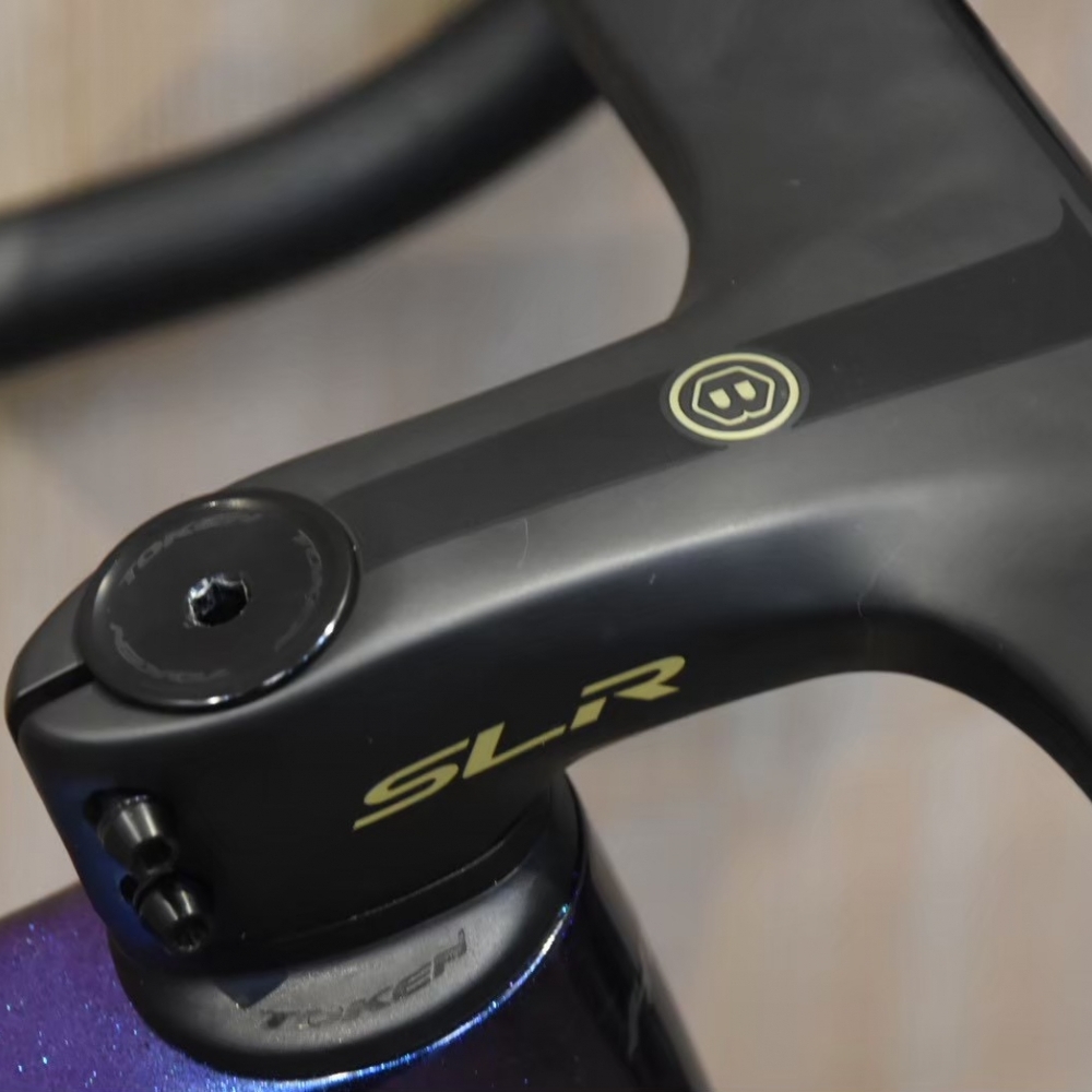 【風逸單車】 HASA RSX 頂級碳纖維碟煞電變公路車