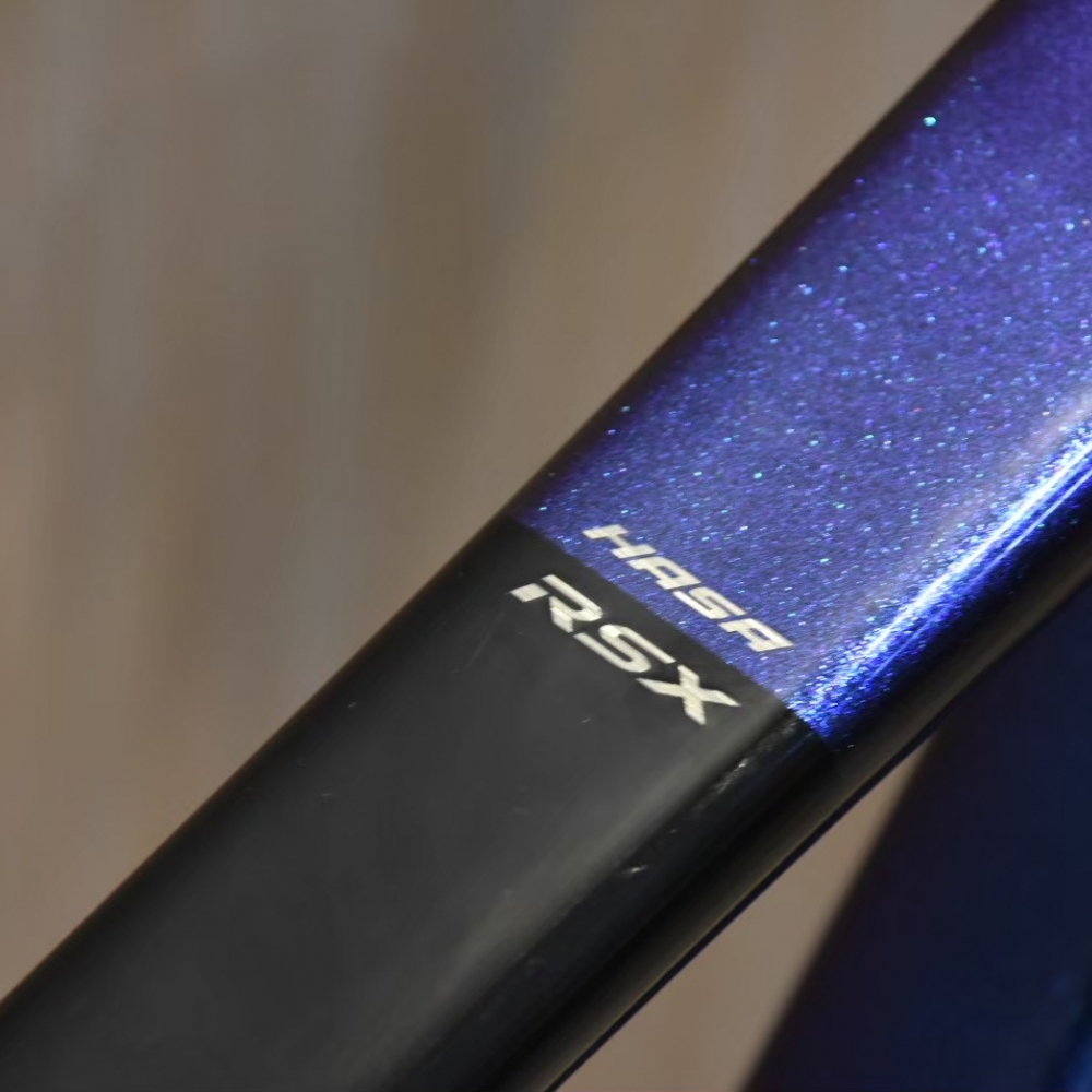 【風逸單車】 HASA RSX 頂級碳纖維碟煞電變公路車