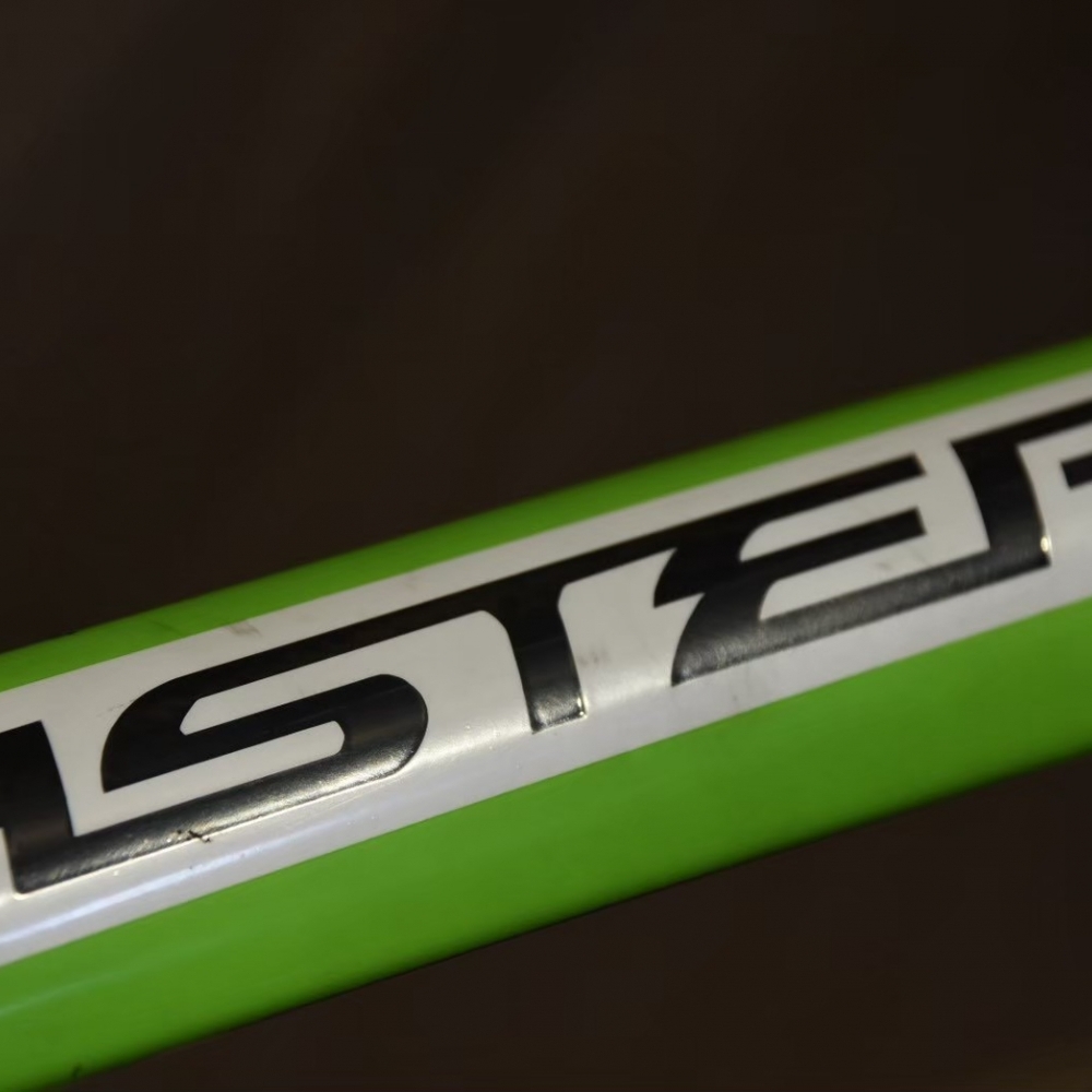 【風逸單車】 ASTER ATT頂級碳纖維計時車