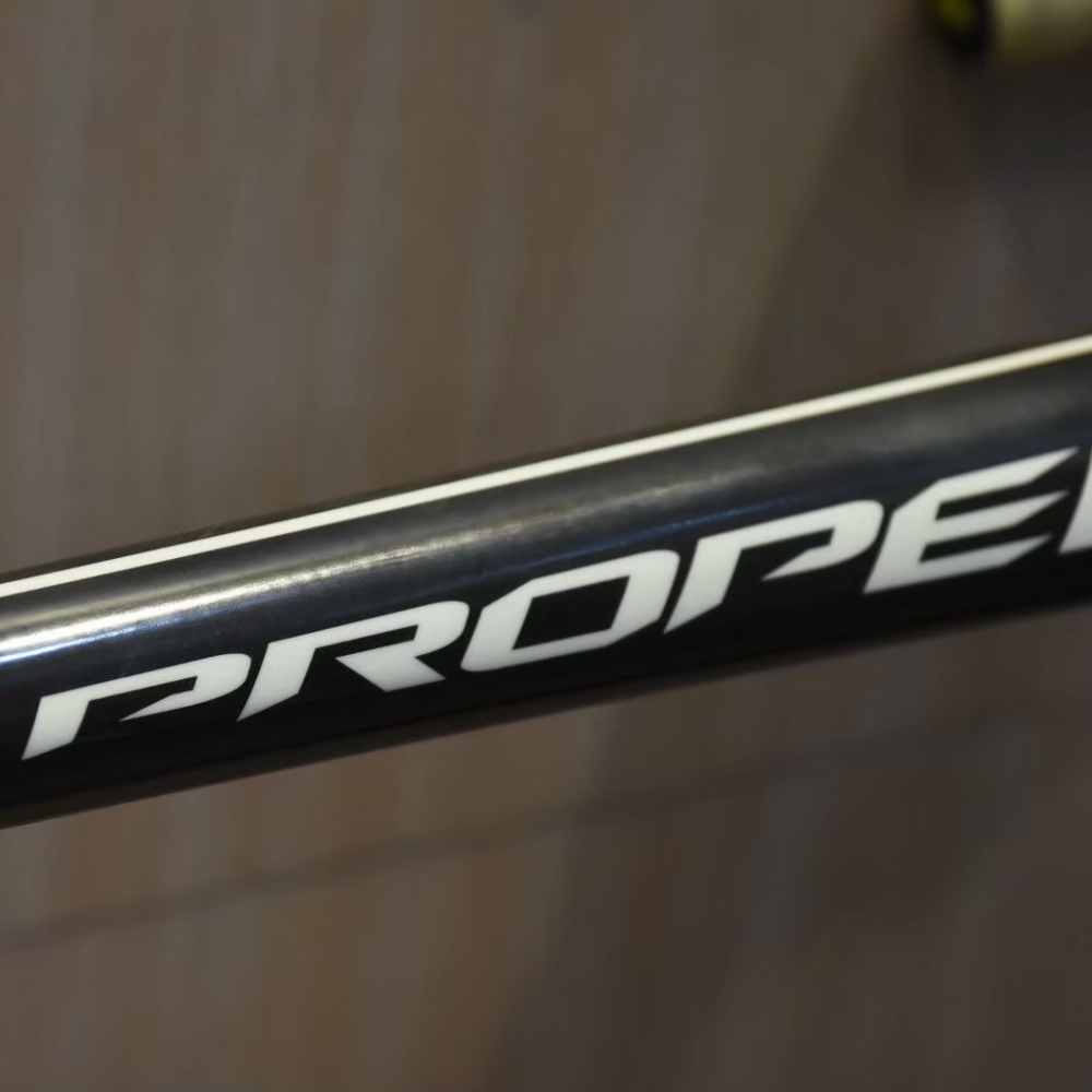 【風逸單車】PROPEL SL ISP 碳纖維框煞公路車    台中二手單車/二手公路車