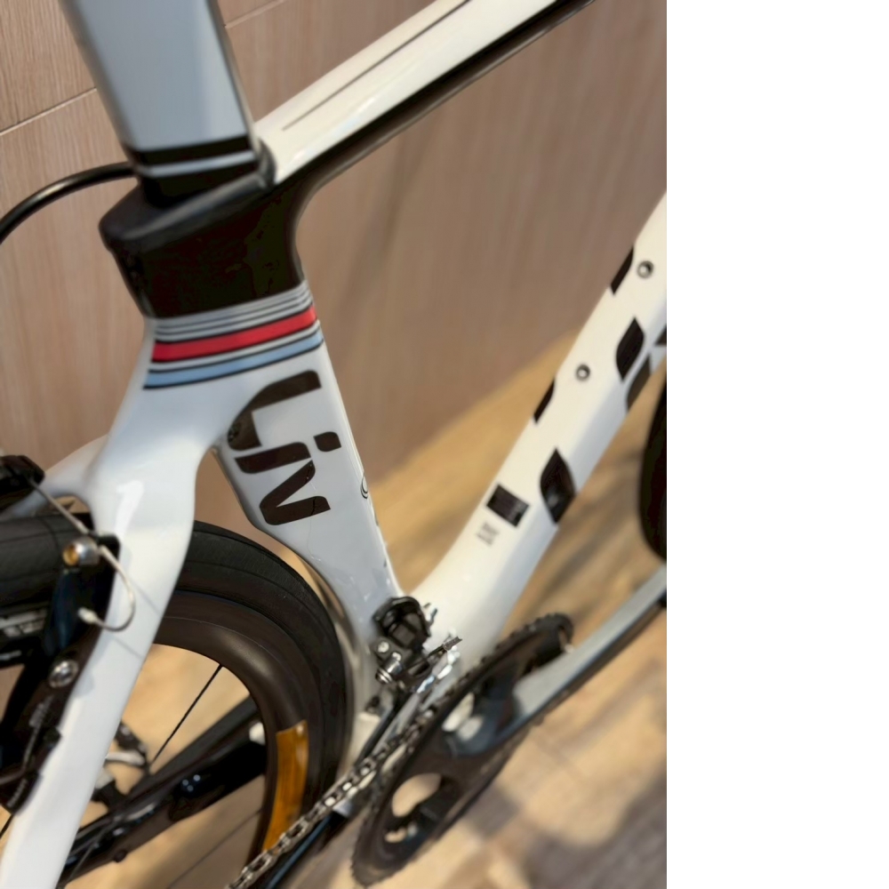 【風逸單車】GIANT Liv ENVIE 1碳纖維框煞公路車    台中二手單車/二手公路車