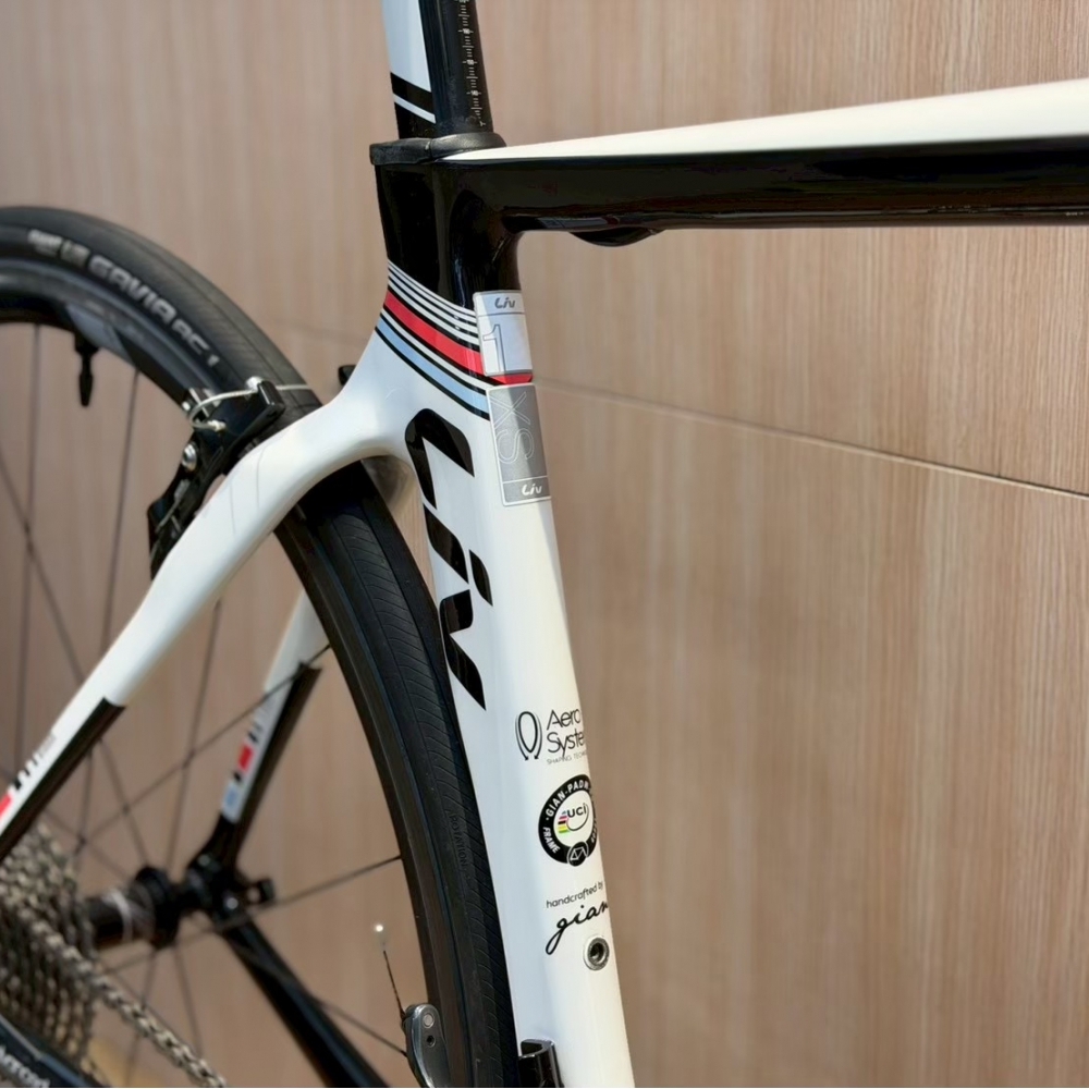 【風逸單車】GIANT Liv ENVIE 1碳纖維框煞公路車    台中二手單車/二手公路車