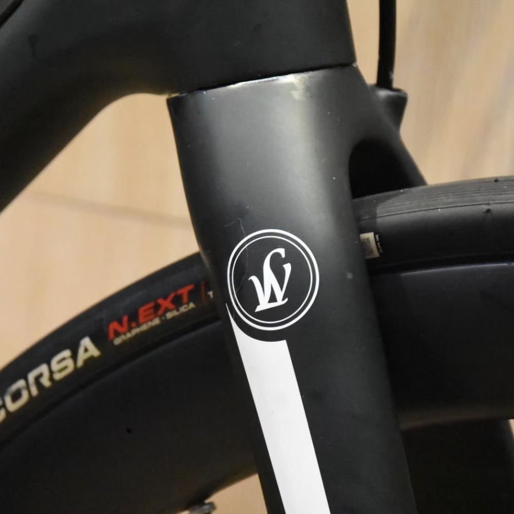 【風逸單車】 Lightweight urgestalt 消光黑 碟煞電變碳纖維公路車