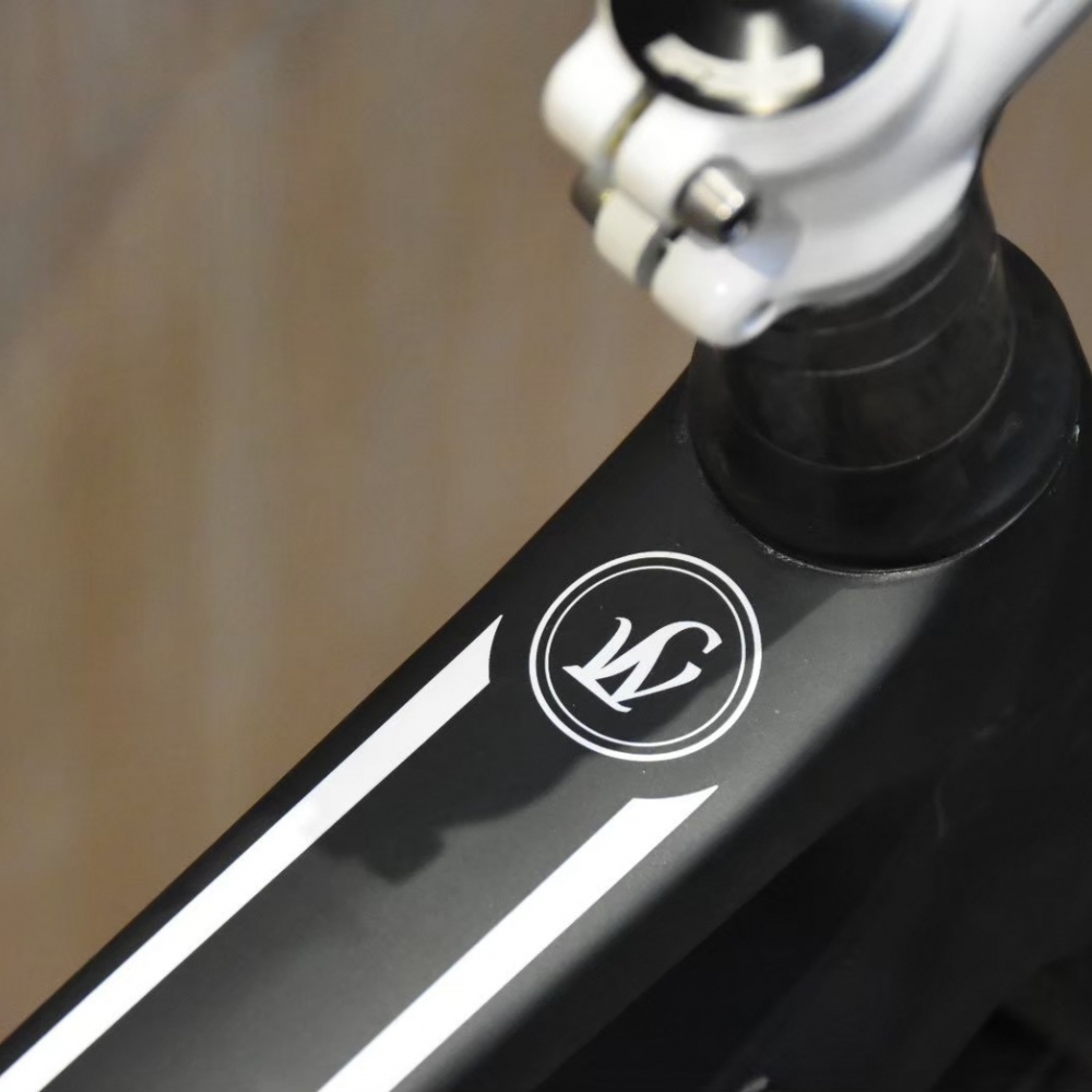 【風逸單車】 Lightweight urgestalt 消光黑 碟煞電變碳纖維公路車