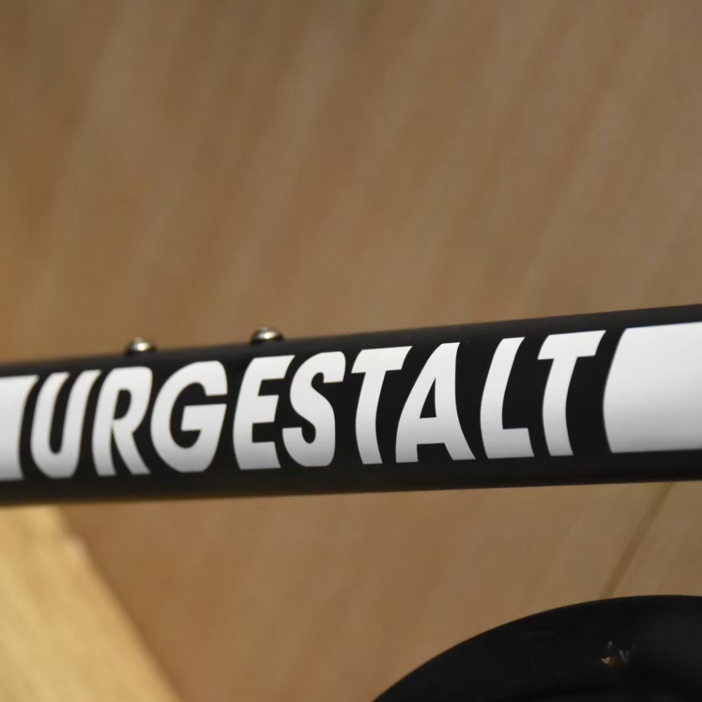 【風逸單車】 Lightweight urgestalt 消光黑 碟煞電變碳纖維公路車