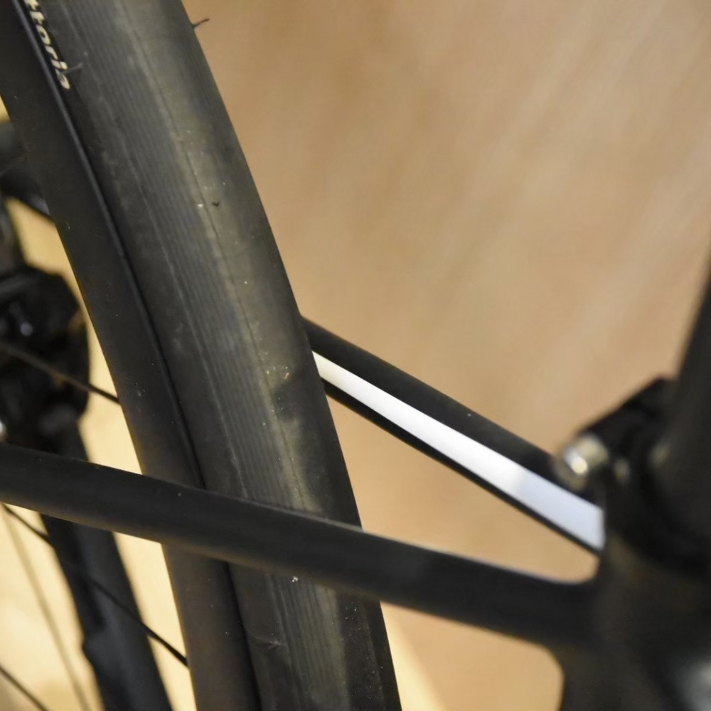 【風逸單車】 Lightweight urgestalt 消光黑 碟煞電變碳纖維公路車