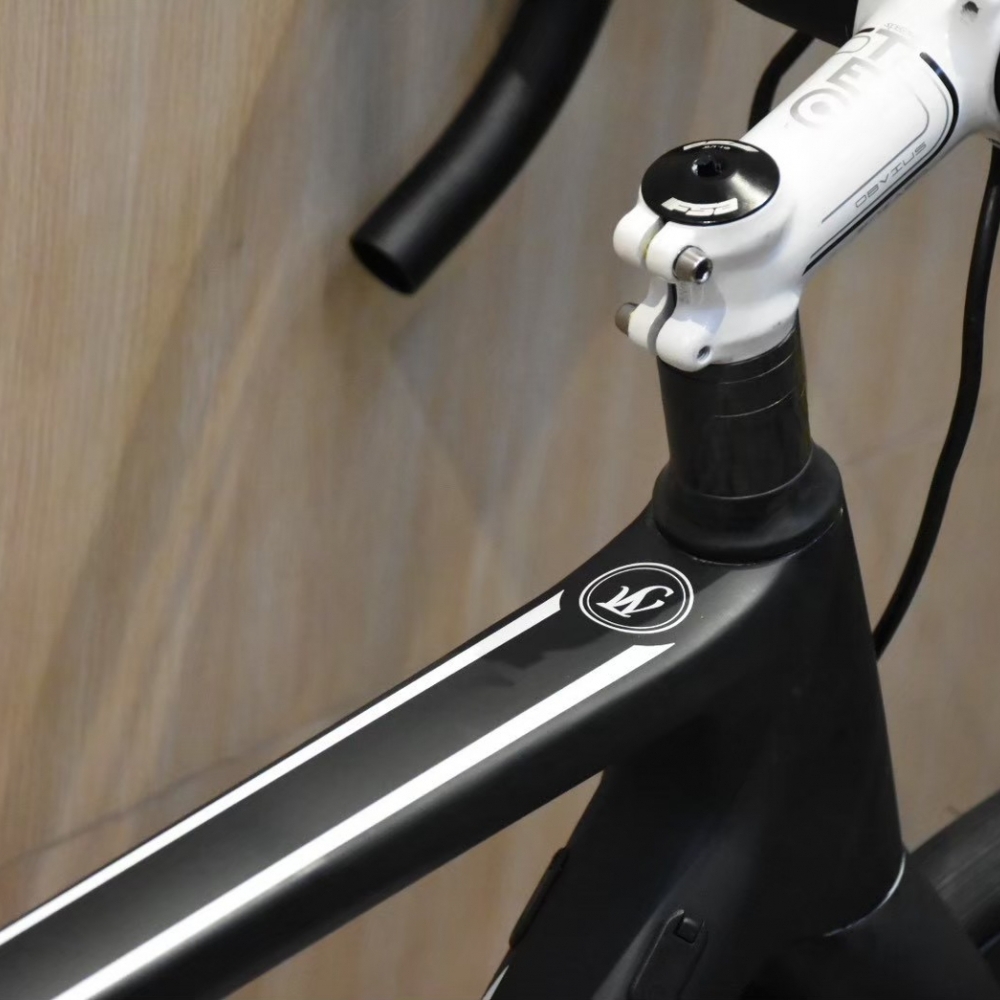 【風逸單車】 Lightweight urgestalt 消光黑 碟煞電變碳纖維公路車