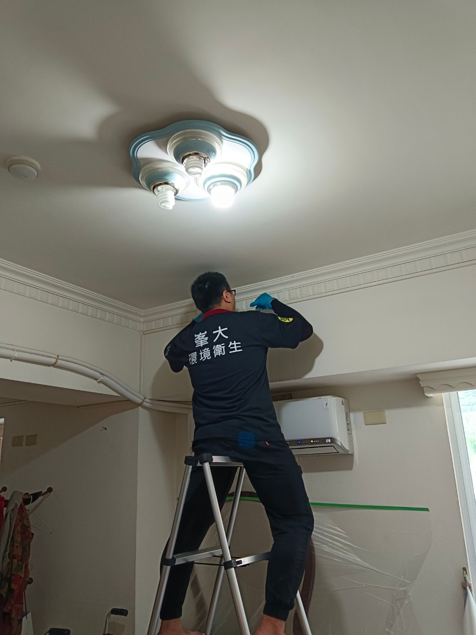 文山區／蛀蟲防治 / 台北除蛀蟲 / 台北除蟲公司