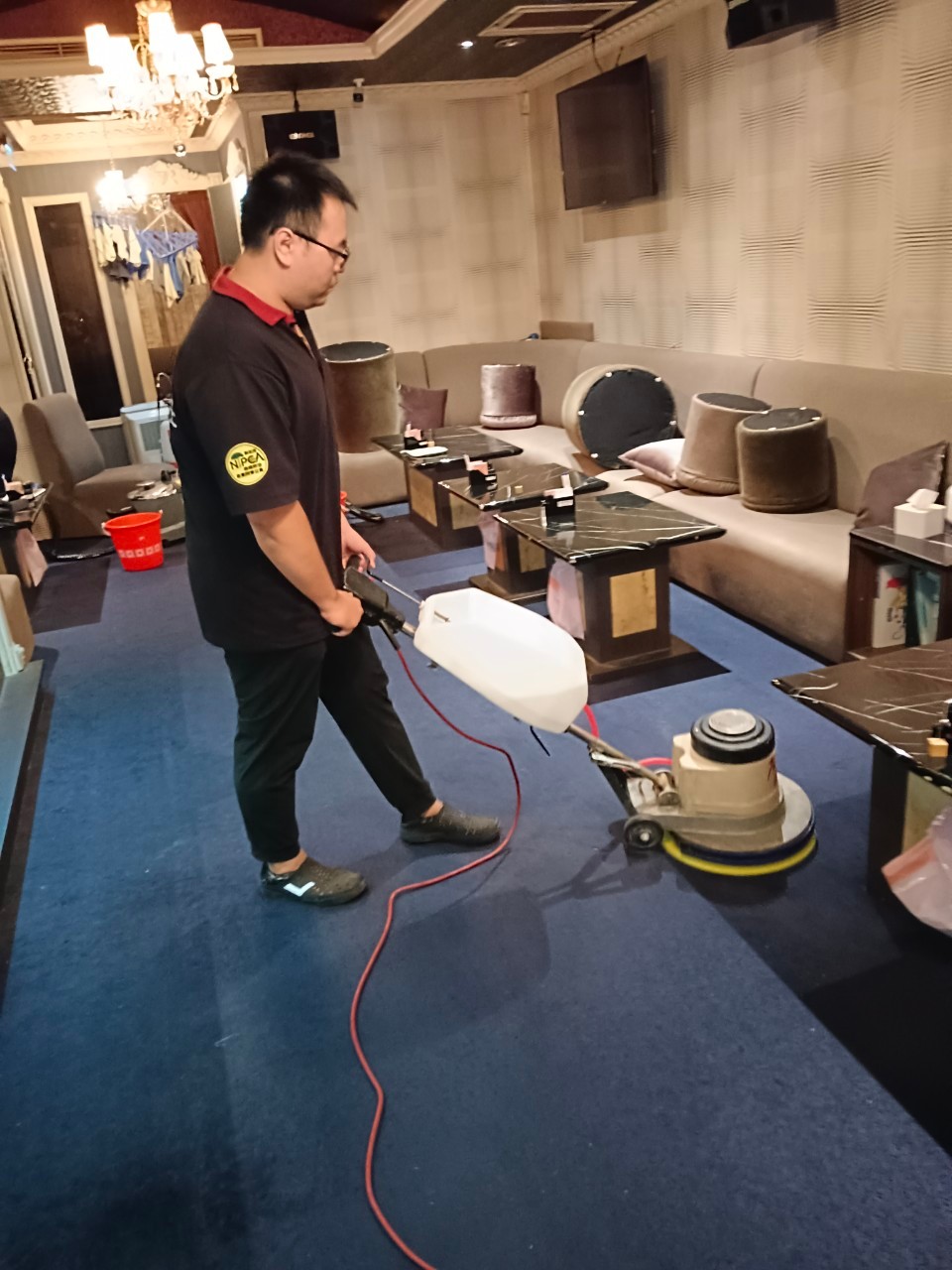 中山區酒店／洗沙發、地毯／蟑螂防治