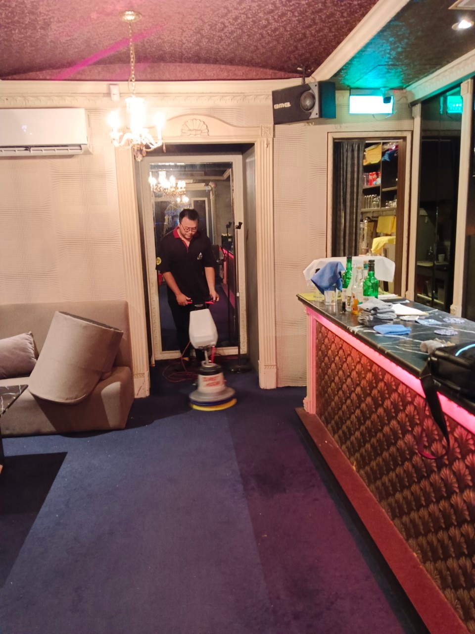 中山區酒店／洗沙發、地毯／蟑螂防治