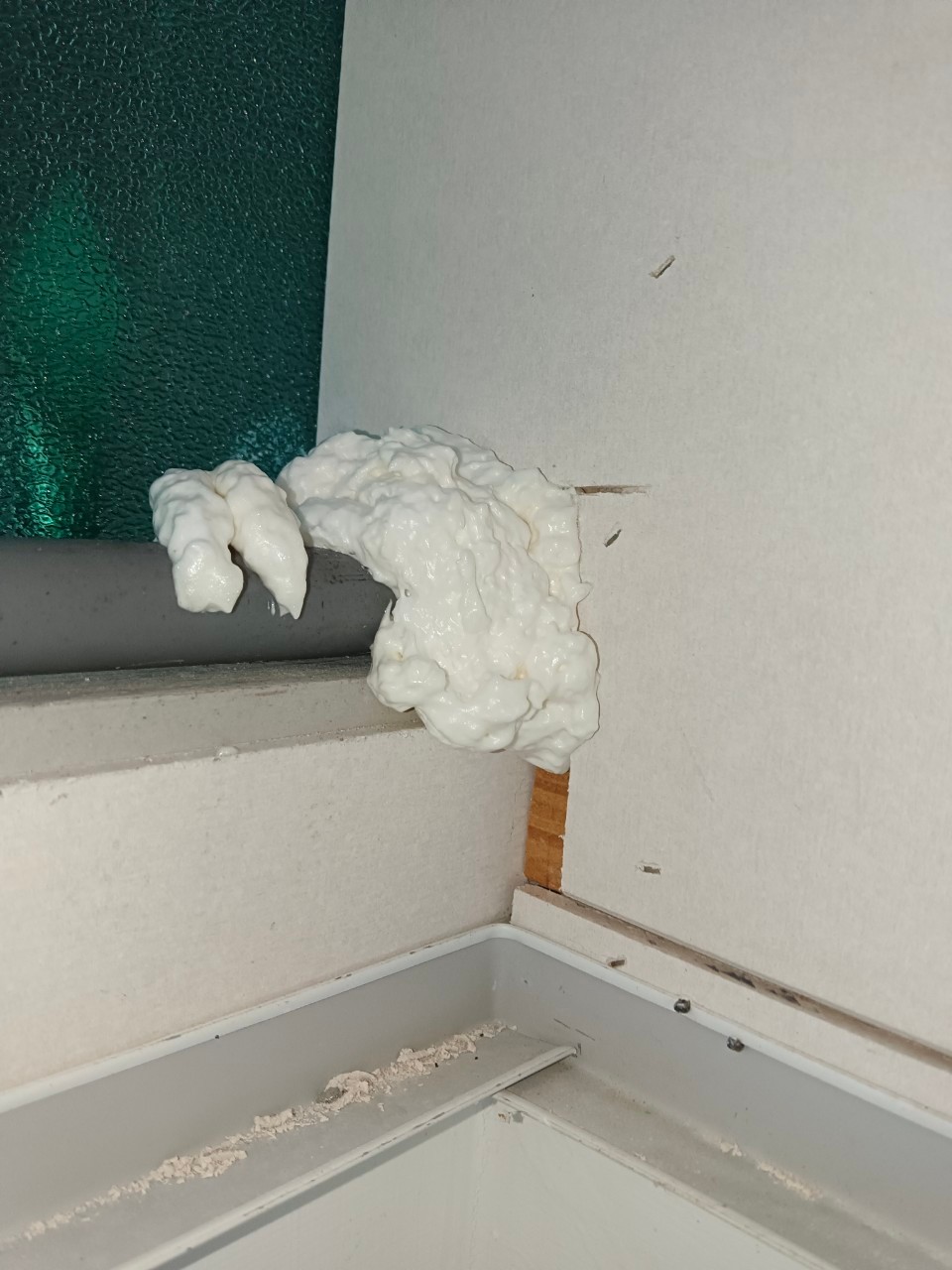 大安區住宅／鼠害防治 / 台北滅鼠公司