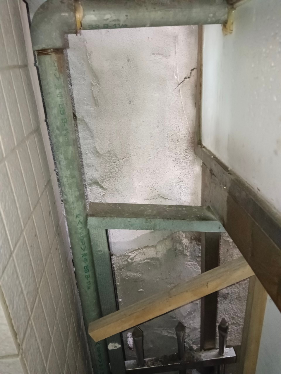 大安區住宅／鼠害防治 / 台北滅鼠公司