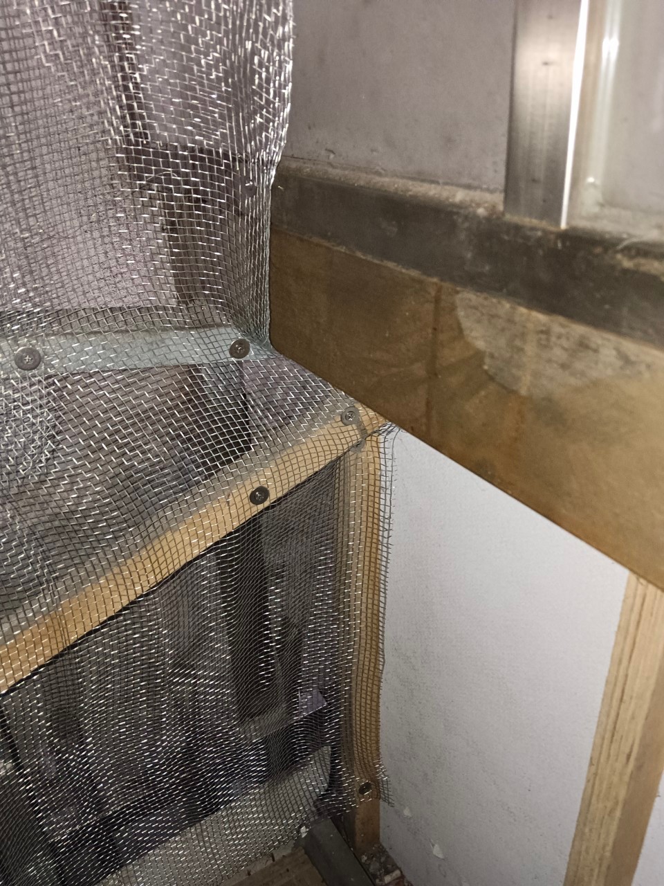 大安區住宅／鼠害防治 / 台北滅鼠公司