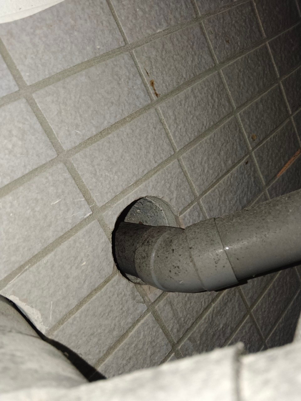 大安區住宅／鼠害防治 / 台北滅鼠公司