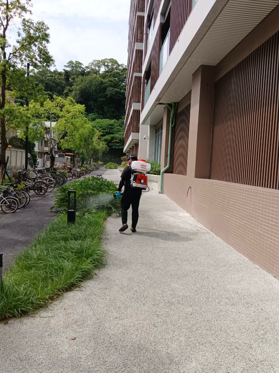 台北市政府都發局／病媒蚊防治