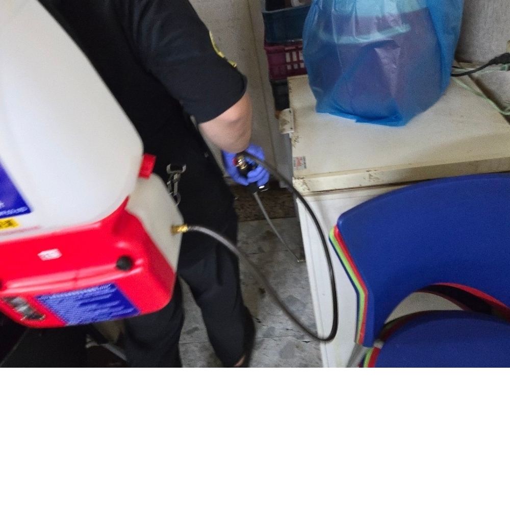 板橋區早餐店 / 大掃除/除蟲 / 台北除蟲公司